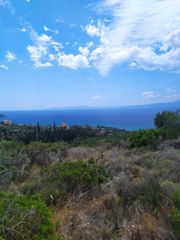 Οικόπεδο 42.264 τ.μ. για πώληση