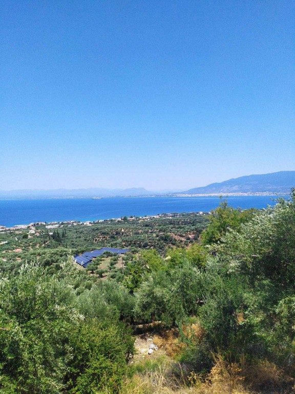 Οικόπεδο 42.264 τ.μ. πρός πώληση, Μεσσηνία, Αβία