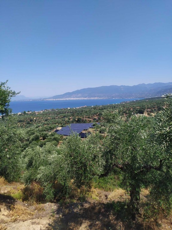 Οικόπεδο 42.264 τ.μ. πρός πώληση, Μεσσηνία, Αβία