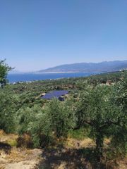 Οικόπεδο 42.264 τ.μ. για πώληση, Μεσσηνία, Αβία-thumb-1
