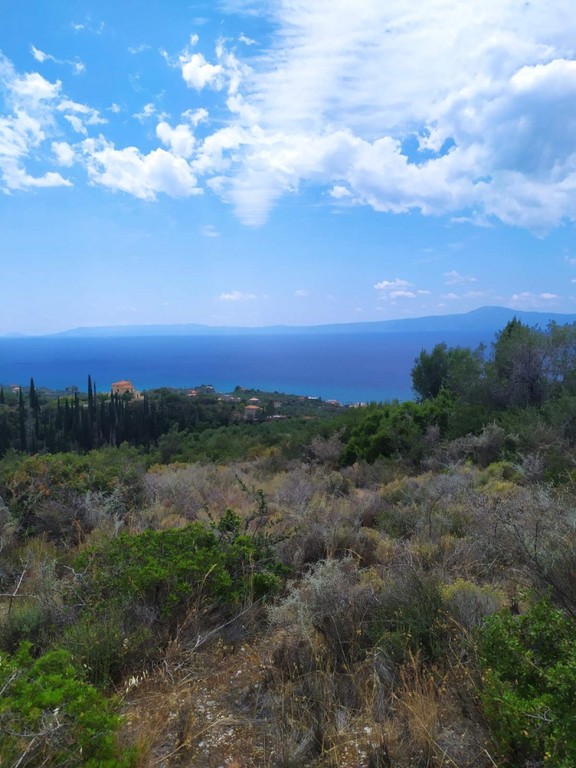 Οικόπεδο 42.264 τ.μ. πρός πώληση, Μεσσηνία, Αβία