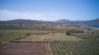 Αγροτεμάχια 8.565 τ.μ. για πώληση, Αργολίδα, Ερμιόνη-thumb-21