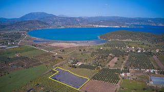 Αγροτεμάχια 8.565 τ.μ. για πώληση, Αργολίδα, Ερμιόνη-thumb-2