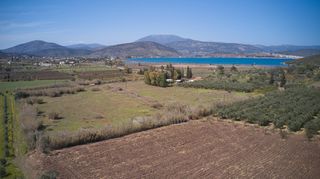 Αγροτεμάχια 8.565 τ.μ. για πώληση, Αργολίδα, Ερμιόνη-thumb-5