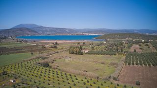 Αγροτεμάχια 8.565 τ.μ. για πώληση