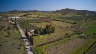 Αγροτεμάχια 8.565 τ.μ. για πώληση, Αργολίδα, Ερμιόνη-thumb-18