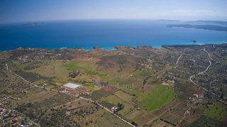 Αγροτεμάχια 8.565 τ.μ. για πώληση, Αργολίδα, Ερμιόνη-thumb-22