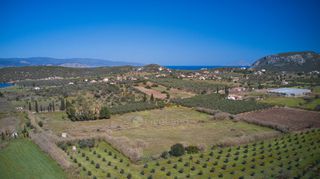 Αγροτεμάχια 8.565 τ.μ. για πώληση, Αργολίδα, Ερμιόνη-thumb-12