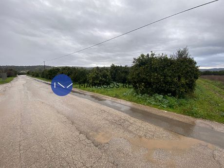 Αγροτεμάχια 11.000τ.μ. για πώληση-Κουτσοπόδι