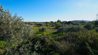 Αγροτεμάχια 6.142 τ.μ. για πώληση, Αργολίδα, Κρανίδι-thumb-19
