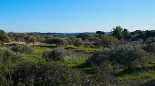Αγροτεμάχια 6.142 τ.μ. για πώληση, Αργολίδα, Κρανίδι-thumb-16