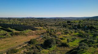 Αγροτεμάχια 6.142 τ.μ. για πώληση, Αργολίδα, Κρανίδι-thumb-8