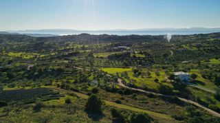 Αγροτεμάχια 6.142 τ.μ. για πώληση