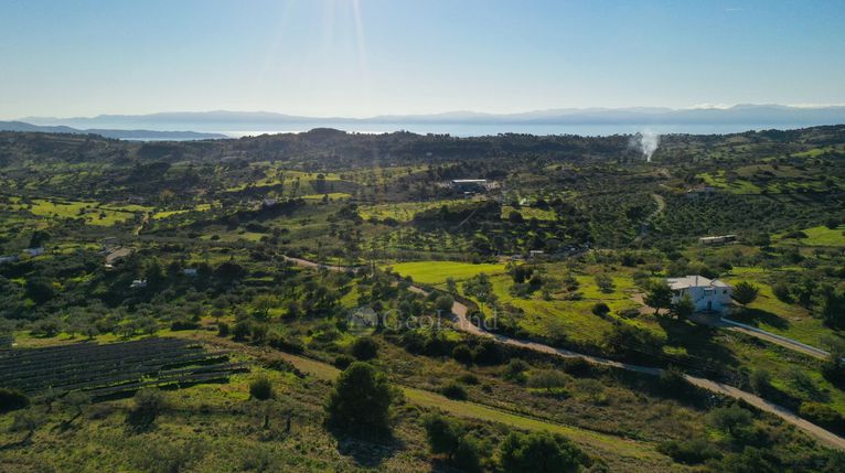 Αγροτεμάχια 6.142 τ.μ. για πώληση, Αργολίδα, Κρανίδι