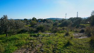 Αγροτεμάχια 6.142 τ.μ. για πώληση, Αργολίδα, Κρανίδι-thumb-18