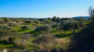 Αγροτεμάχια 6.142 τ.μ. για πώληση, Αργολίδα, Κρανίδι-thumb-17
