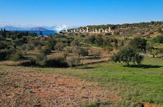 Αγροτεμάχια 4.017 τ.μ. πρός πώληση, Αργολίδα, Κρανίδι-thumb-13