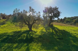 Αγροτεμάχια 4.017 τ.μ. πρός πώληση, Αργολίδα, Κρανίδι-thumb-9