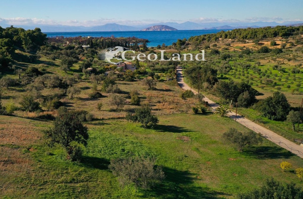 Αγροτεμάχια 4.017 τ.μ. προς πώληση, Δορούφι