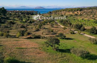 Αγροτεμάχια 4.017 τ.μ. πρός πώληση, Αργολίδα, Κρανίδι-thumb-5