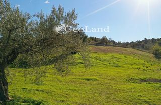 Αγροτεμάχια 4.017 τ.μ. πρός πώληση, Αργολίδα, Κρανίδι-thumb-8