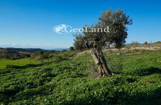 Αγροτεμάχια 12.304 τ.μ. πρός πώληση, Αργολίδα, Κρανίδι-thumb-7