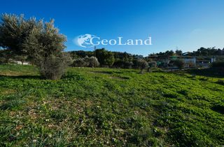 Αγροτεμάχια 12.304 τ.μ. πρός πώληση, Αργολίδα, Κρανίδι-thumb-10