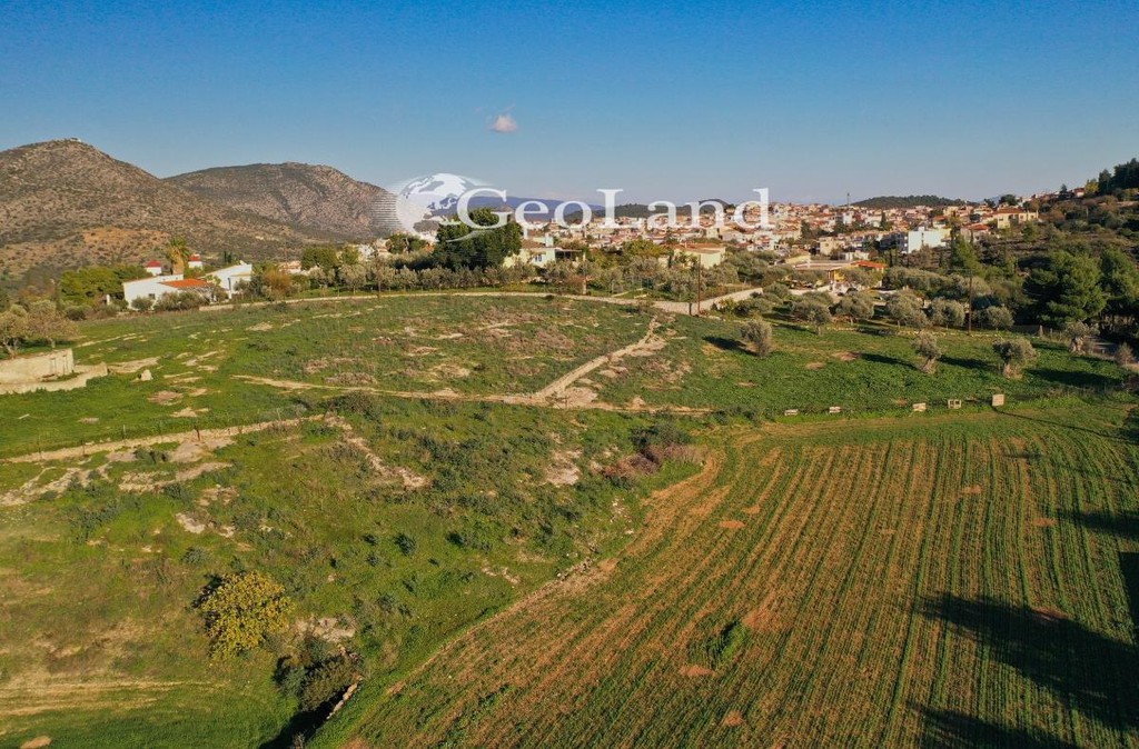 Αγροτεμάχια 12.304 τ.μ. πρός πώληση, Αργολίδα, Κρανίδι