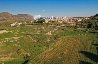 Αγροτεμάχια 12.304 τ.μ. πρός πώληση, Αργολίδα, Κρανίδι-thumb-2