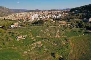 Αγροτεμάχια 12.304 τ.μ. πρός πώληση, Αργολίδα, Κρανίδι-thumb-14