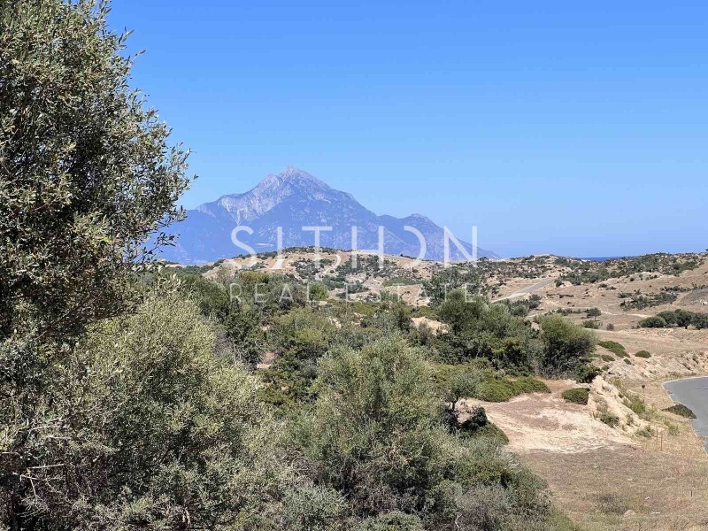 Οικόπεδο 500 τ.μ. προς πώληση, Σκάλα Συκέας