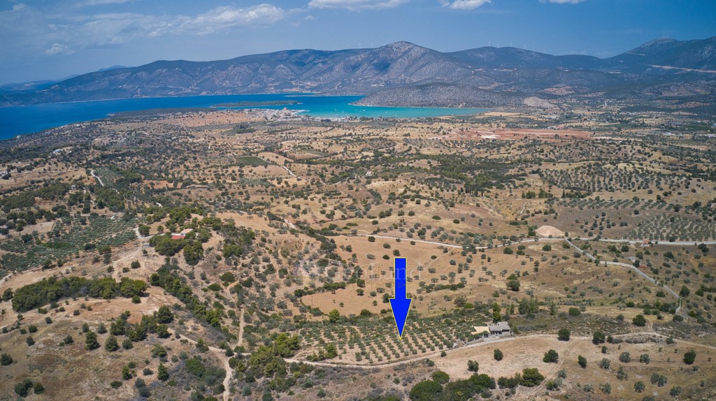 Αγροτεμάχια 10.375 τ.μ. προς πώληση, Κέντρο Κρανιδίου