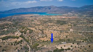Αγροτεμάχια 10.375 τ.μ. για πώληση, Αργολίδα, Κρανίδι-thumb-3