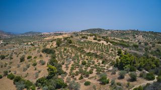Αγροτεμάχια 10.375 τ.μ. για πώληση, Αργολίδα, Κρανίδι-thumb-11