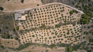 Αγροτεμάχια 10.375 τ.μ. για πώληση, Αργολίδα, Κρανίδι-thumb-2