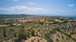 Αγροτεμάχια 10.375 τ.μ. για πώληση, Αργολίδα, Κρανίδι-thumb-22