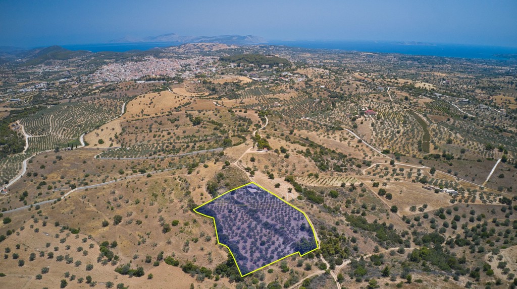 Αγροτεμάχια 10.375 τ.μ. προς πώληση, Κέντρο Κρανιδίου