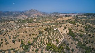 Αγροτεμάχια 10.375 τ.μ. για πώληση, Αργολίδα, Κρανίδι-thumb-7