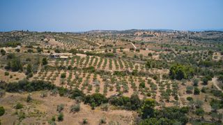 Αγροτεμάχια 10.375 τ.μ. για πώληση, Αργολίδα, Κρανίδι-thumb-9