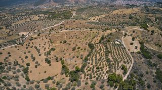 Αγροτεμάχια 10.375 τ.μ. για πώληση, Αργολίδα, Κρανίδι-thumb-6