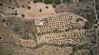 Αγροτεμάχια 10.375 τ.μ. για πώληση, Αργολίδα, Κρανίδι-thumb-19