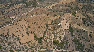 Αγροτεμάχια 10.375 τ.μ. για πώληση, Αργολίδα, Κρανίδι-thumb-10