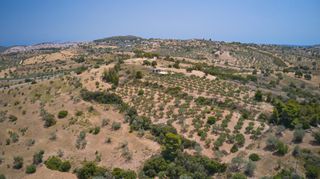 Αγροτεμάχια 10.375 τ.μ. για πώληση, Αργολίδα, Κρανίδι-thumb-8
