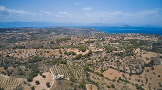 Αγροτεμάχια 10.375 τ.μ. για πώληση, Αργολίδα, Κρανίδι-thumb-5