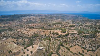 Αγροτεμάχια 10.375 τ.μ. για πώληση, Αργολίδα, Κρανίδι-thumb-20