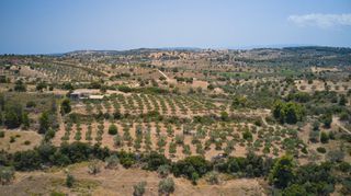 Αγροτεμάχια 10.375 τ.μ. για πώληση, Αργολίδα, Κρανίδι-thumb-12