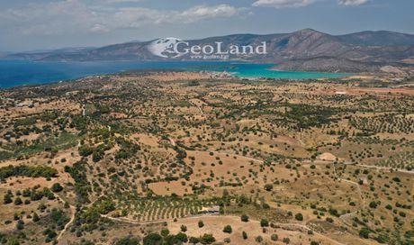 Αγροτεμάχια 10.375τ.μ. για πώληση-Κρανίδι » Κέντρο