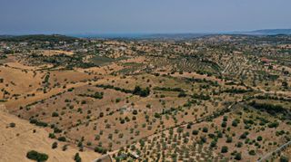 Αγροτεμάχια 6.246 τ.μ. για πώληση, Αργολίδα, Κρανίδι-thumb-10