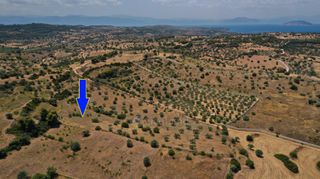 Αγροτεμάχια 6.246 τ.μ. για πώληση, Αργολίδα, Κρανίδι-thumb-3