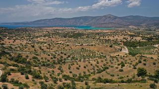 Αγροτεμάχια 6.246 τ.μ. για πώληση, Αργολίδα, Κρανίδι-thumb-12